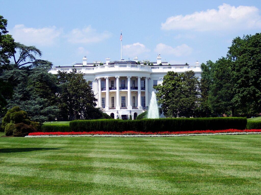 Bachelor of Arts in Political Science: What I Wish I Knew Before Taking It