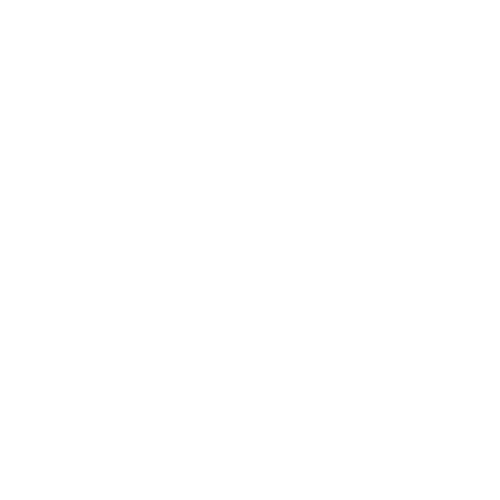 Sociopoliticool