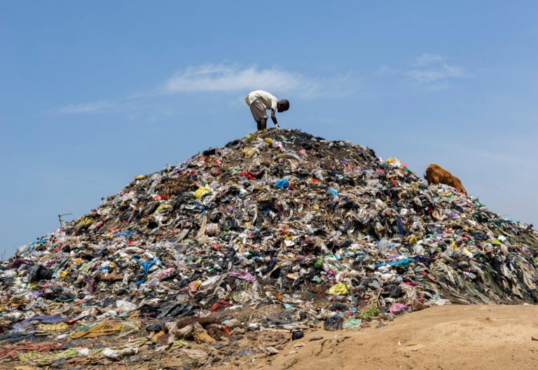 Garbology Book Review: How Consumerism Destroys the World