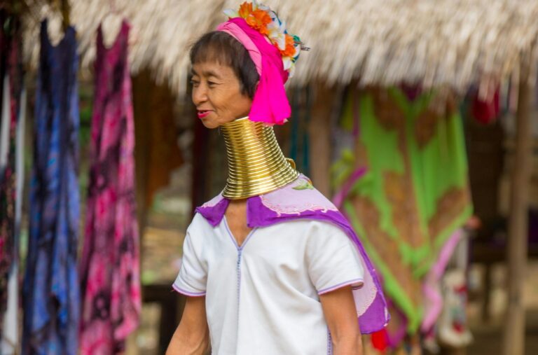 What Is Culture? Definition, Types, and Its Role in Society