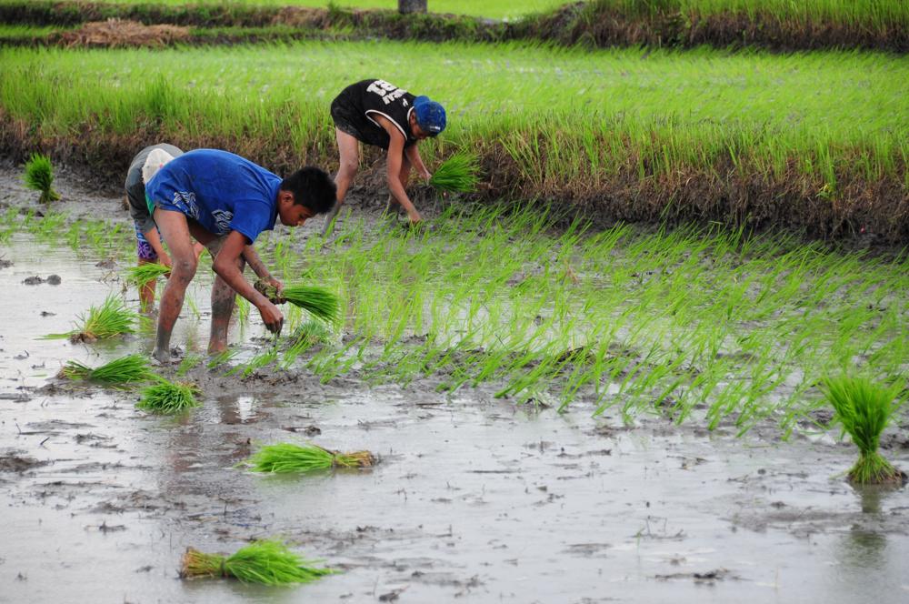 How the Philippine Geography Affects Its Development