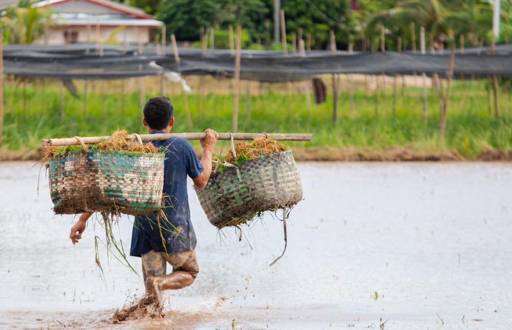 How the Philippine Geography Affects Its Development