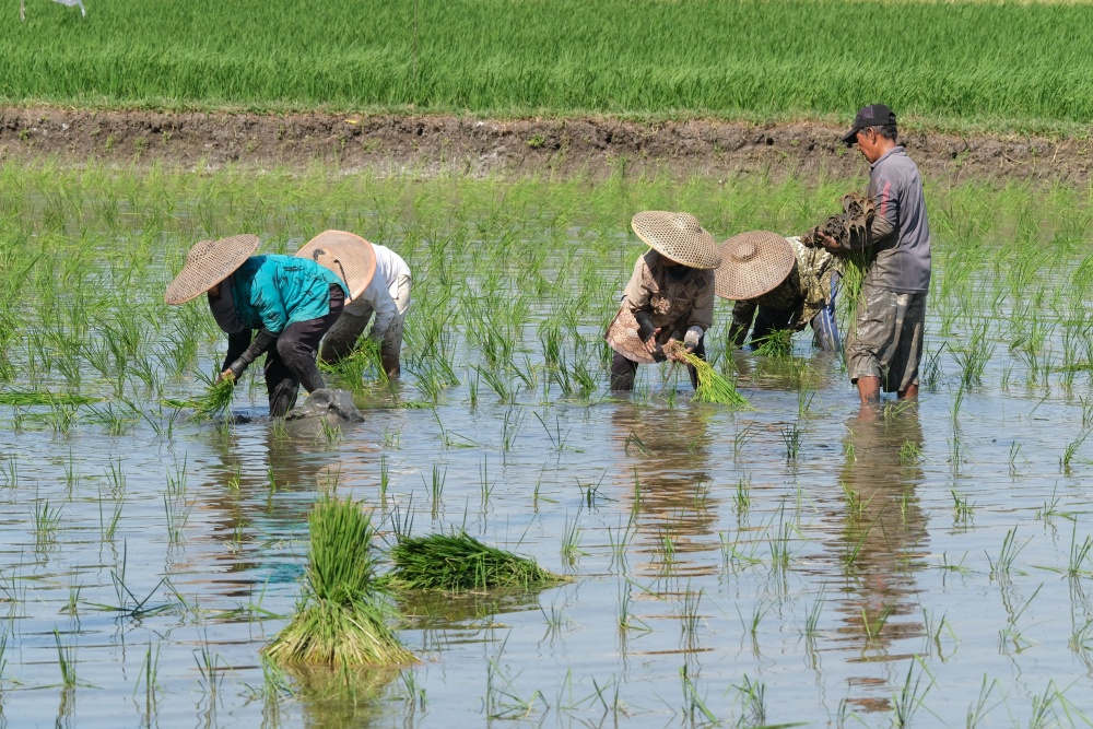 Civic Welfare in the Philippines: Meaning and Importance